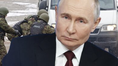Photo of «В команде Бастрыкина новый слон!» Долгожданный удар по мигрантам — Путин начал тотальный разгром диаспор?