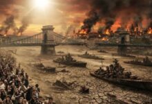 Photo of Такого Европа не видела 100 лет. Катастрофа, которую не ждали. Чем это закончится?